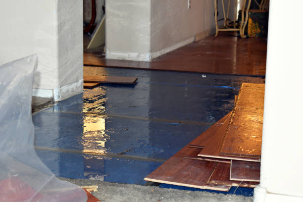 Professional Burst Pipe Cleanup technician working in Put In Bay, OH